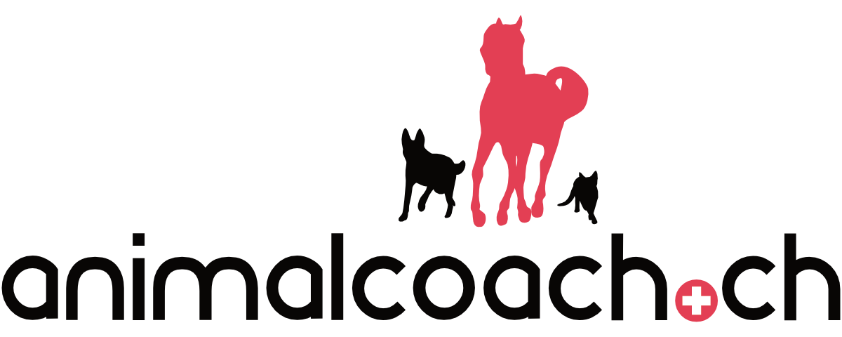 animalcoach.ch
