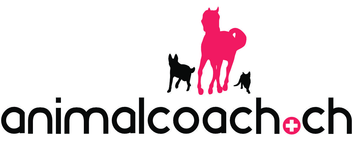 animalcoach.ch